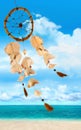 Sea shells blowing in the wind Royalty Free Stock Photo