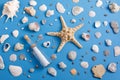 Sea shells on a blue background. Flat Lay, top view, copy space Royalty Free Stock Photo