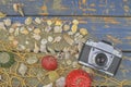 Sea shells on a blue background. Summer traveling time. Sea holiday background with various shells and vintage camera. Place for y Royalty Free Stock Photo
