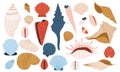 Sea shells. Cartoon colorful marine shells, nautical marine shellfish, scallop and clam, summer beach vacation flat Royalty Free Stock Photo