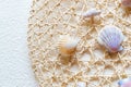 Sea shells and clams on mesh Royalty Free Stock Photo