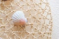 Sea shells and clams on mesh Royalty Free Stock Photo