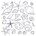 Sea shells collection Royalty Free Stock Photo