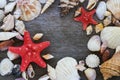 Sea shells collection on wooden background.