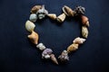 sea shells, conch, scallop and mussel with circle shape isolated on black background.