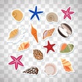 Sea shells cute stickers Royalty Free Stock Photo