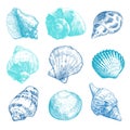 Sea shells doodle set Royalty Free Stock Photo