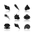 Sea shells drop shadow black glyph icons set Royalty Free Stock Photo