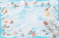 Sea shells fishing net blue wooden board Flat lay Royalty Free Stock Photo