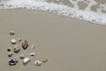 Sea shells and flip flops on sand. Summer beach background. Top