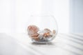 Sea shells in the glass jar on the white background with sun light. Summer, holidays, vacation memories concept Royalty Free Stock Photo