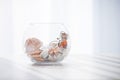 Sea shells in the glass jar on the white background with sun light. Summer, holidays, vacation memories concept Royalty Free Stock Photo