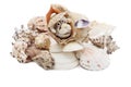 Sea shells .