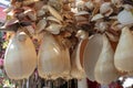 Sea shells handmade ornament handmade. Ayvalik was taken on the island of Cunda