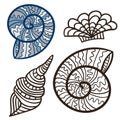 Sea shells isolated prints. Tattoo design. Kids coloring book page