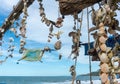 Sea Shells and Mandala in Sayulita Mexico Beach.