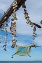 Sea Shells and Mandala in Sayulita Mexico Beach.