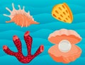 Sea shells marine cartoon clam-shell and ocean starfish coralline vector illustration Royalty Free Stock Photo