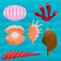 Sea shells marine cartoon clam-shell and ocean starfish coralline vector illustration