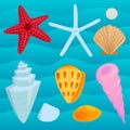 Sea shells marine cartoon clam-shell and ocean starfish coralline vector illustration Royalty Free Stock Photo