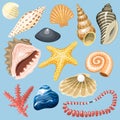 Sea shells marine cartoon clam-shell and ocean starfish coralline vector illustration. Royalty Free Stock Photo