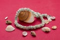 Seashells necklace and shells 