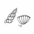 Sea shells outline illustration collection. Isolated hand drawn shell silhouette set