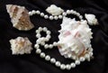 Sea shells and pearls on a black silk Royalty Free Stock Photo
