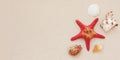 Sea shells and red star fish on sandy beach with copy space for text Royalty Free Stock Photo