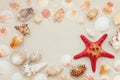 Sea shells and red star fish on sandy beach with copy space for text Royalty Free Stock Photo