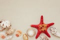 Sea shells and red star fish on sandy beach with copy space for text Royalty Free Stock Photo