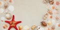 Sea shells and red star fish on sandy beach with copy space for text Royalty Free Stock Photo