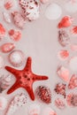 Sea shells and red star fish on sandy beach with copy space for text Royalty Free Stock Photo