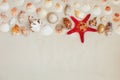 Sea shells and red star fish on sandy beach with copy space for text Royalty Free Stock Photo