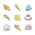 Sea shells RGB color icons set Royalty Free Stock Photo