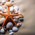 Sea shells on the sand. Starfish sea stones and seashells background. Royalty Free Stock Photo