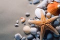 Sea shells on the sand. Starfish sea stones and seashells background. Royalty Free Stock Photo