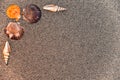 Sea shells on sand, Summer beach background,Seashells on a summer beach and sand as background, Sea shells, Travel, vacation conce Royalty Free Stock Photo