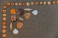 Sea shells on sand, Summer beach background,Seashells on a summer beach and sand as background, Sea shells, Travel, vacation conce Royalty Free Stock Photo