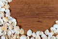 Sea shells on sand. Summer beach background. Top view. Seashells on a wooden table - a reminder of the summer vacation.
