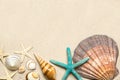 Sea shells on sand. Summer beach background. Top view Royalty Free Stock Photo