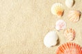 Sea shells on sandy beach. Summer background. Top view Royalty Free Stock Photo