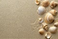 Sea shells on sandy beach. Summer background. Top view. Royalty Free Stock Photo