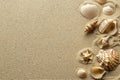 Sea shells on sandy beach. Summer background. Top view. Royalty Free Stock Photo