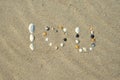 Sea shells on sandy beach. Summer sand background Royalty Free Stock Photo