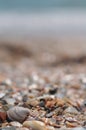 Sea shells with the sea at background