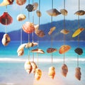 Sea Shells Sea Shore Summer Beach Concept Royalty Free Stock Photo