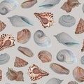 Sea shells, seamless pattern , background. Watercolor