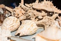 Sea Shells Souvenirs Royalty Free Stock Photo