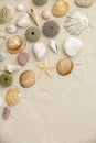 Sea shells and star fish Royalty Free Stock Photo